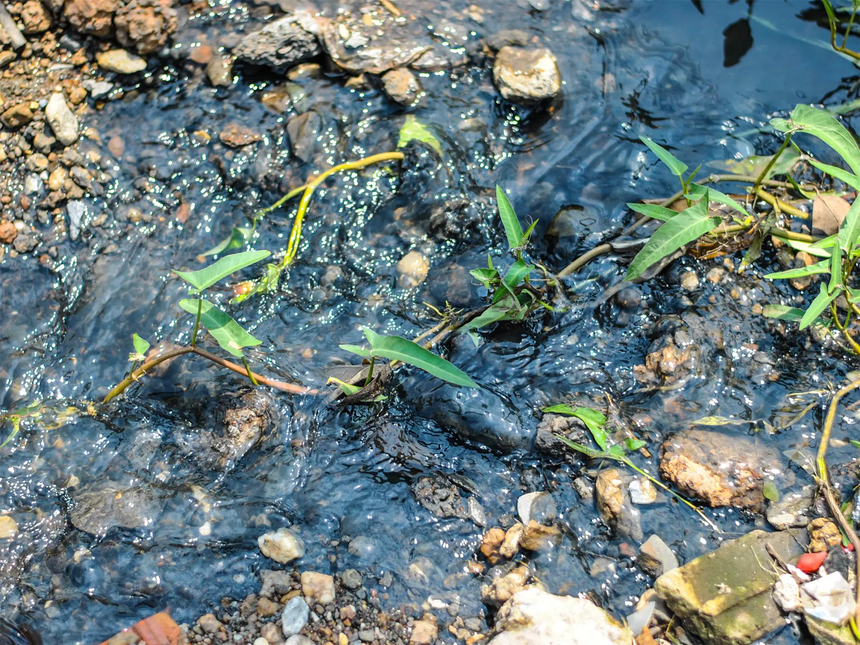 stormwater Our services for Texas stormwater permitting, including NOI and NOC submissions.